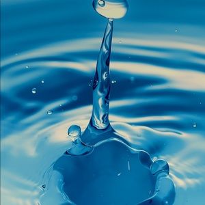 Meet your Posher, Robyn